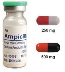آمپی سیلین Ampicilin 